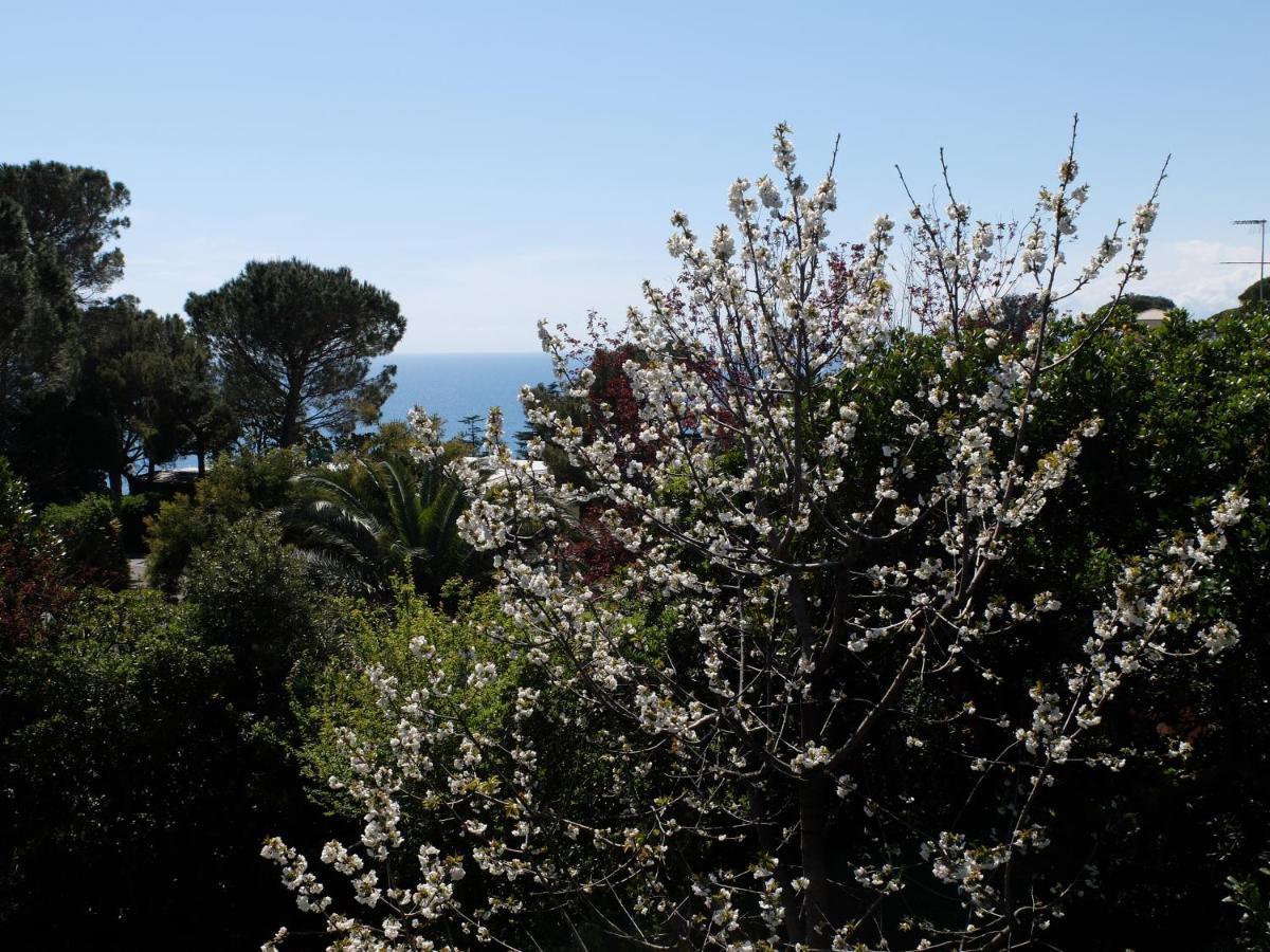 B&B Verde sul mare Arenzano Exterior foto